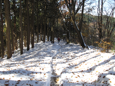 20161125hike (141)